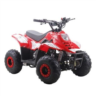 110cc автоматичний квадроцикл для дітей
